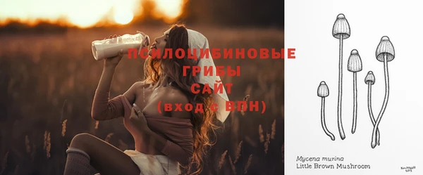 сатива Кодинск