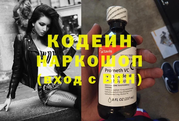 сатива Кодинск