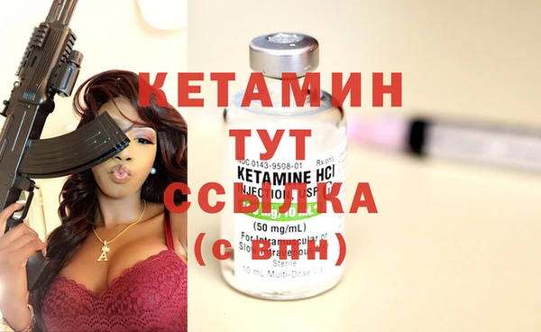 сатива Кодинск
