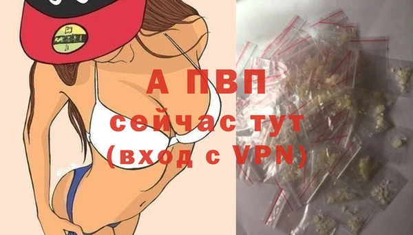 сатива Кодинск