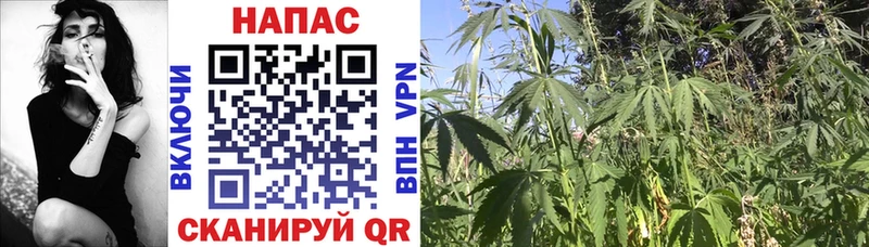 Канабис White Widow Высоковск
